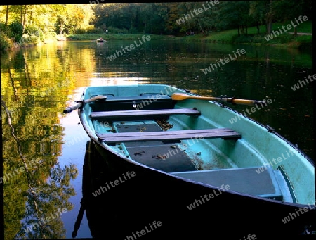 Ruhiger Waldsee mit blauem Ruderboot  1