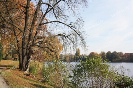 Herbst am Heiligen See
