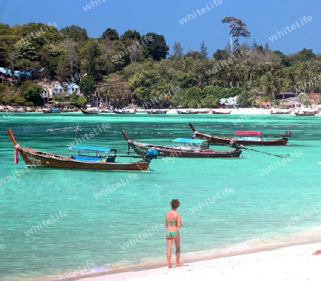Pattaya Beach Ko Lipe  /  Thailand