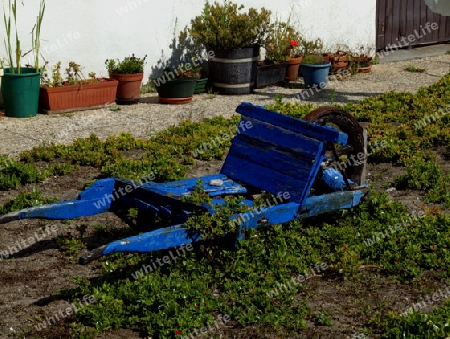 blauer alter Holzkarren als Schuck im Vorgarten