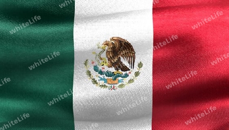 Mexico flag - realistic waving fabric flag