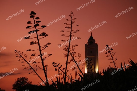 Ein Minaret im Abendlicht bei der Altstadt von Sidi Bou Said noerdlich von Tunis am Mittelmeer in Tunesien in Nordafrika..