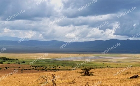 Tansania - Im Ngorongoro Krater