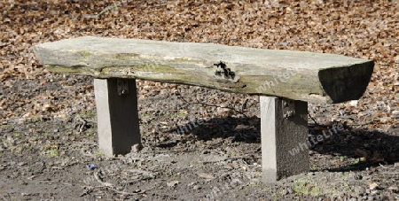 old park bench in the forest