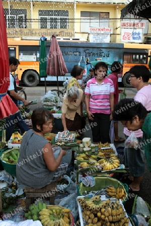 Fruechte auf dem Markt von Nonthaburi im Norden von Bangkok der Hauptstadt von Thailand in Suedostasien.  