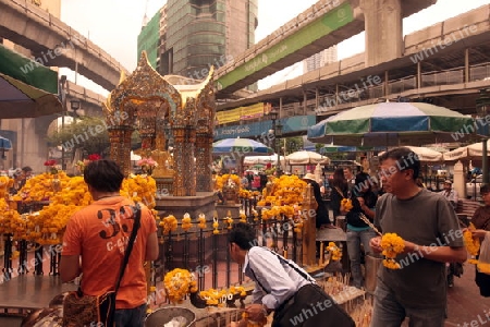 Der Erewan Schrein in der Th Phra Ram 1 Road beim Siam Square in Bangkok der Hauptstadt von Thailand in Suedostasien