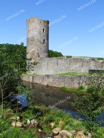 Ruine Baldenau mit Burggraben
