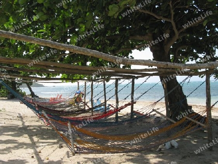 Dominikanische Republik. H?ngematten am Strand
