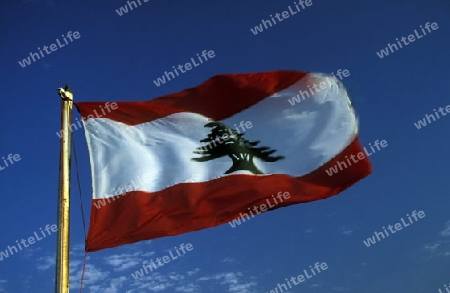 The Lebanon Nationalflagg in the National Stadium in Beirut in Lebanon.