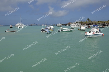 Boote und Kreuzfahrtschiffe im Hafen von Puerto Ayora,  Insel Santa Cruz, Indefatigable Island, Galapagos Archipel, Unesco Welterbe,  Ecuador, Suedamerika