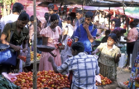 Der Markt in Hikkaduwa im sueden von Sri Lanka in Asien.