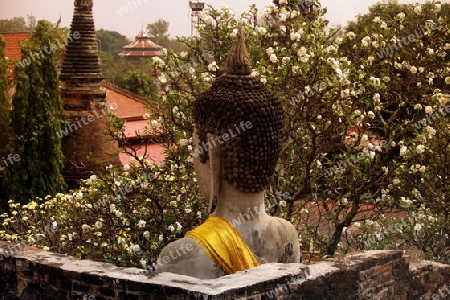 Der Wat Yai Chai Tempel in der Tempelstadt Ayutthaya noerdlich von Bangkok in Thailand. 