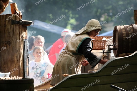 fresh fish getting smoket on a Summer Festival in a Parc in the old City of Vilnius in the Baltic State of Lithuania,  