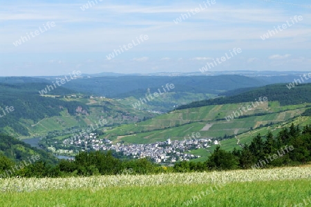 Blick auf Enkirch an der Mosel