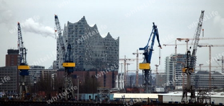 Hamburg Hafen und Elfi