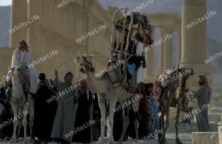 Ein traditionelles Hochzeitsfest in den Ruinen von Palmyra in der Wueste Faydat in Syrien im Mittleren Osten in Arabien.