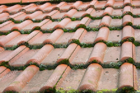Tile roof covered with red tiles, overgrown with moss       Ziegeldach eingedeckt mit roten Dachziegel,mit Moos bewachsen