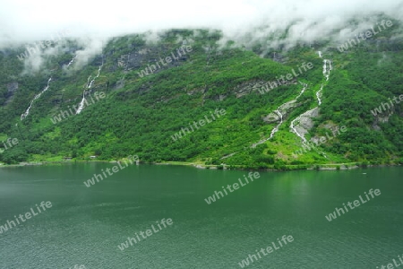Grüne Fjordlandschaft, Norwegen