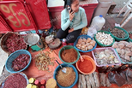 Auf dem Markt in der Altstadt von Luang Prabang in Zentrallaos von Laos in Suedostasien.
