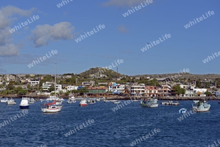 Blick vom Boot aus auf den Hafen Puerto Baquerizo Moreno, Insel San Cristobal, Galapagos , Unesco Welterbe, Ecuador, Suedamerika