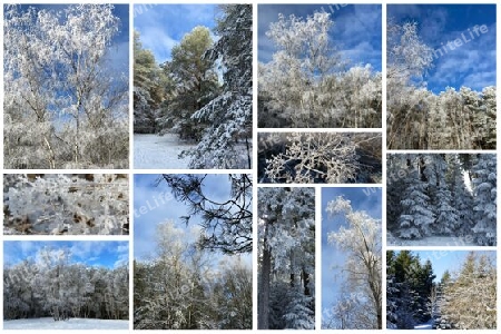 Winter Collage