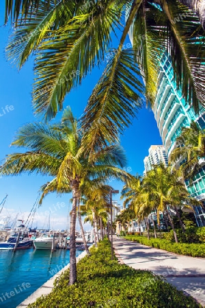 View of the marina in Miami Florida