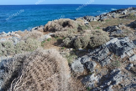 Felsenküste auf Kreta