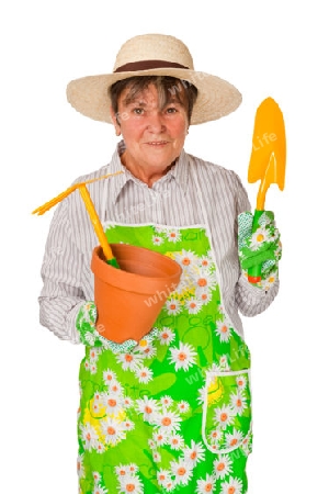 Seniorin mit Gartensch?rze - freigestellt auf weissem Hintergrund