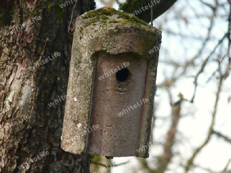 Vogelhaus - Nisthilfe am Baum P1280549
