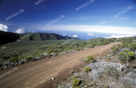 The road and Landscape allrond the Volcano  Piton de la Fournaise on the Island of La Reunion in the Indian Ocean in Africa.