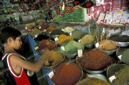 Gewuerze und Lebensmittel auf dem Souq oder Markt in der Altstadt oder Medina von Sousse am Mittelmeer  in Tunesien in Nordafrika.   