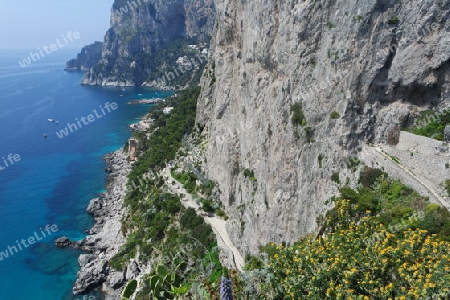 Felsenklippen auf Capri