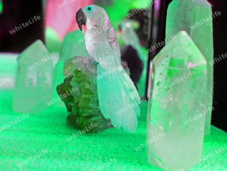 Papagei zwischen Kristallen