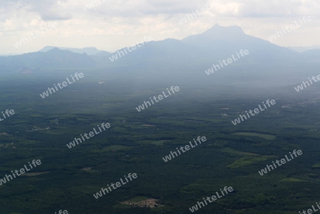 The Mountains with palmoil plantations near the City of Krabi on the Andaman Sea in the south of Thailand. 
