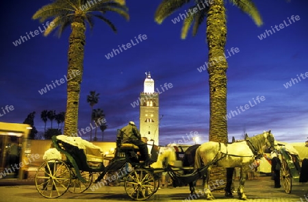 Die Koutoubia Moschee am Djemma el Fna Platz in der Altstadt von Marrakesh in Marokko in Nordafrika.