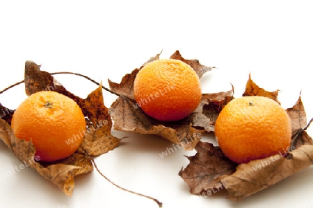 Mandarinen mit Herbstbl?tter