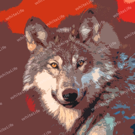 Wolf 005