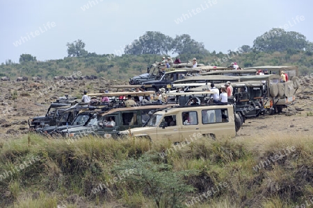 Safariwagen am Mara River mit Touristen warten auf die Gnumigration, Masai Mara, Kenia, Afrka