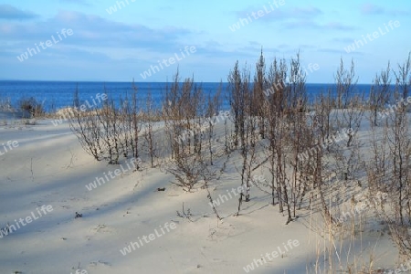 Sanddüne an der Ostsee