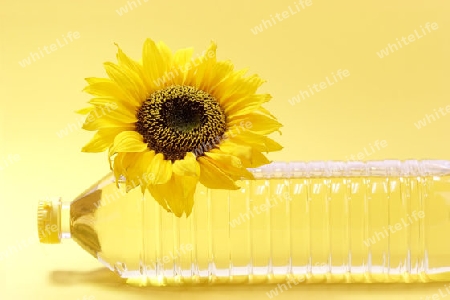 Sonnenblume mit einer Speise?lflasche auf weissem Hintergrund
