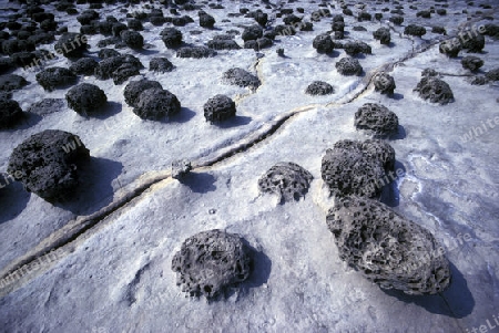 Das Naturwunder und die bizarren Felsformationen an der Kueste von Yehliu bei Keelung im norden der Insel Taiwan.