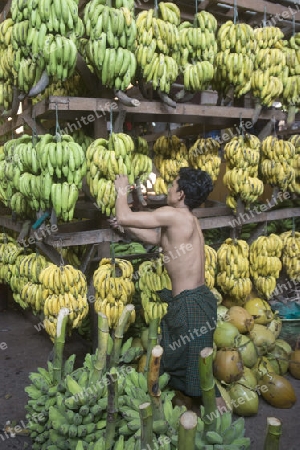 a big Banana Shop in a Market near the City of Yangon in Myanmar in Southeastasia.