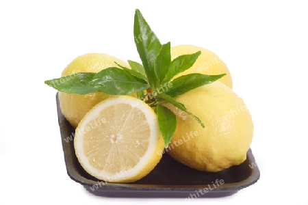Zitronen auf weissem Hintergrund