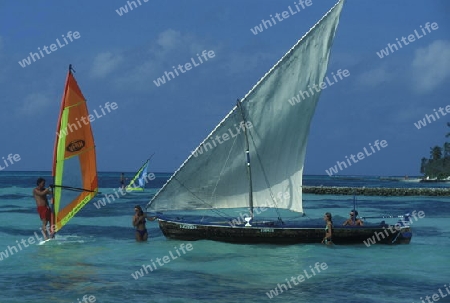 Asien, Indischer Ozean, Malediven,
Ein Traumstrand auf einer Ferieninsel der Inselgruppe Malediven im Indischen Ozean  



