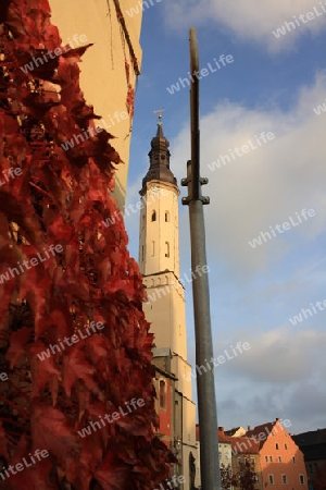 Herbstbild Zittau