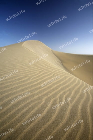 the Sanddunes at the Playa des Ingles in town of Maspalomas on the Canary Island of Spain in the Atlantic ocean.