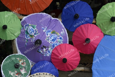 Traditionalle Schirme und Faecher aus Paier werden produziert in einer Papierschirm Fabrik in Chiang Mai im norden von Thailand in Suedostasien.