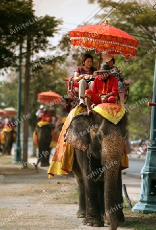 Ein Elephanten Taxi vor einem der vielen Tempel in der Tempelstadt Ayutthaya noerdlich von Bangkok in Thailand.   (KEYSTONE/Urs Flueeler)