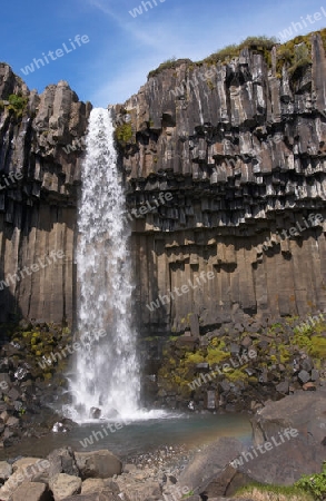 Svartifoss Wasserfall im Skaftafjell Nationalpark auf Island