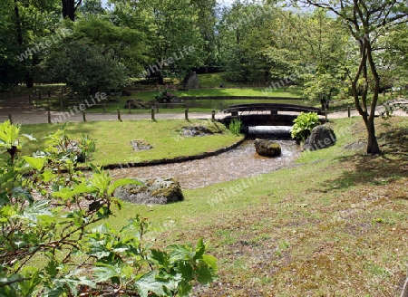Br?cke im Japanischer Garten von Hasselt, Belgien